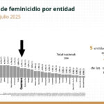 Guerrero avanza en el combate a la violencia feminicida: SESNSP