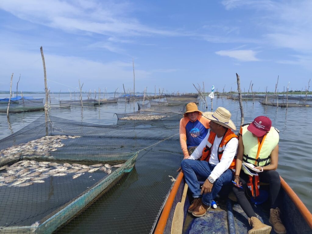 Atiende SEMAREN, COSAEG y Ecología Municipal a acuicultores afectados por mortandad de peces en la Laguna de Tres Palos en Acapulco